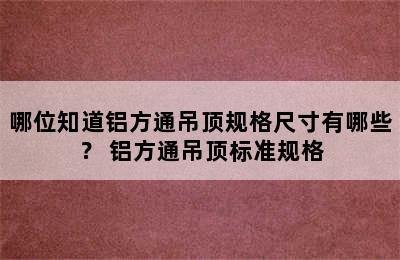 哪位知道铝方通吊顶规格尺寸有哪些？ 铝方通吊顶标准规格